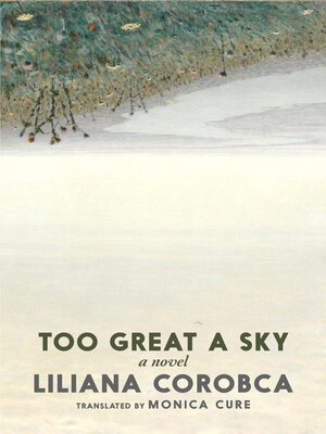 cover image of Too Great a Sky